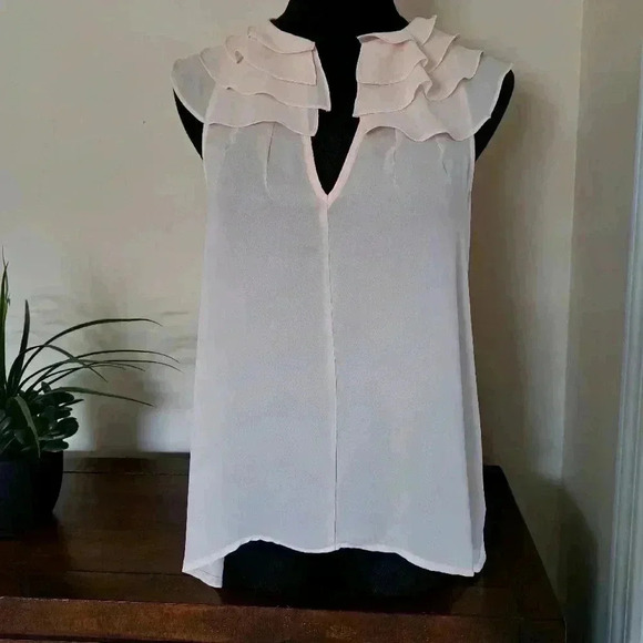Forever 21  Sleeveless Blouse Pake Pink Small Ruffle Lightweight Semi Sheer - Picture 5 of 9